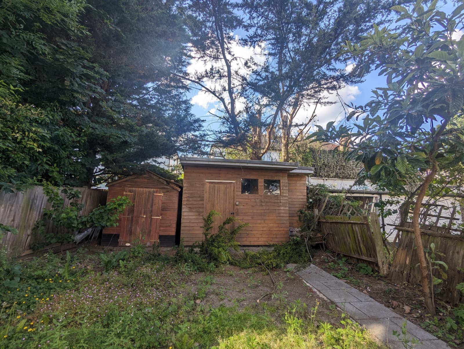Garden before and after before